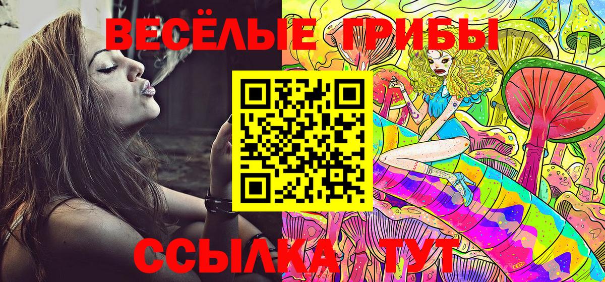 Рязань  Галлюциногенные грибы Psilocybe  Вход с VPN 
